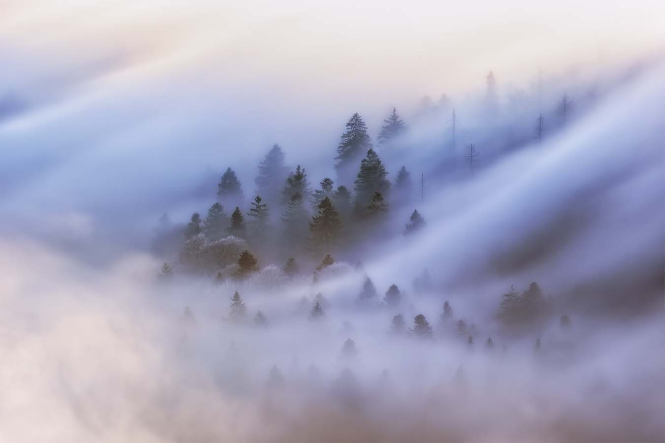 A Dance of Fog and Light