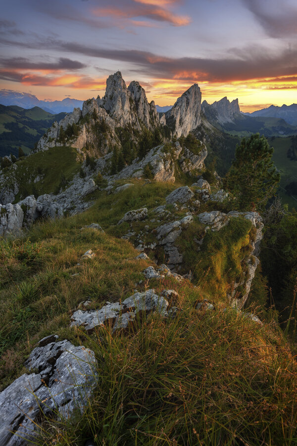 Grenzenlose Freiheit